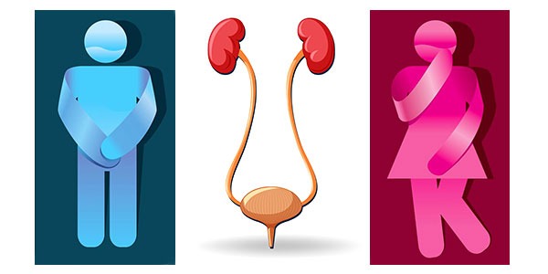 Types of urinary incontinence: causes and solutions
